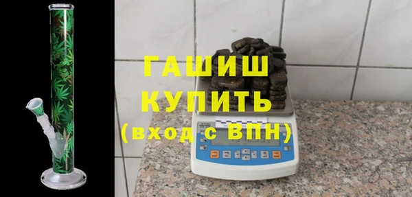 гашик Алексин