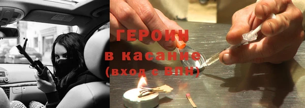 гашик Алексин
