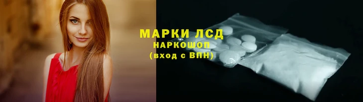 гашик Алексин