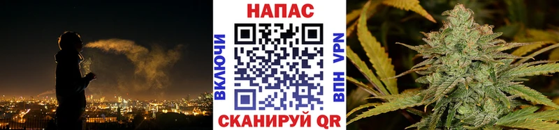Шишки марихуана планчик Кудрово